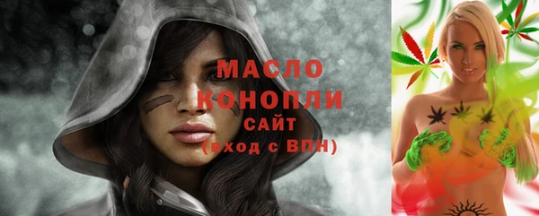 индика Карпинск