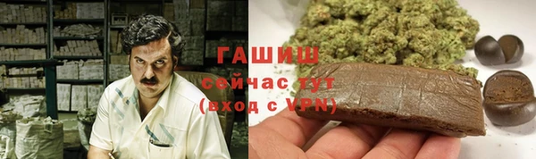 индика Карпинск
