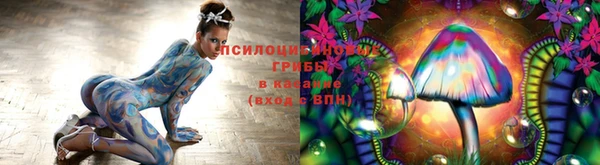 индика Карпинск