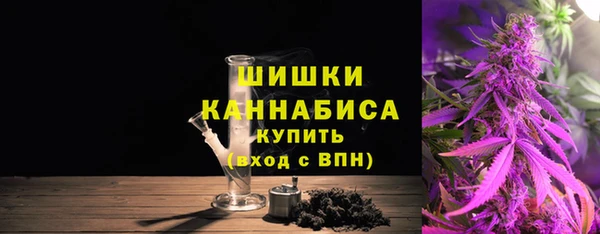 индика Карпинск