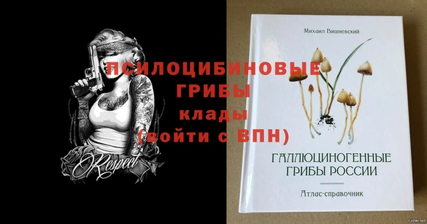 индика Карпинск
