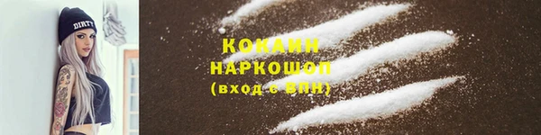 индика Карпинск