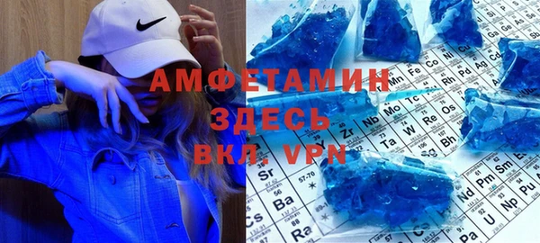 индика Карпинск