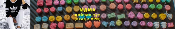 индика Карпинск