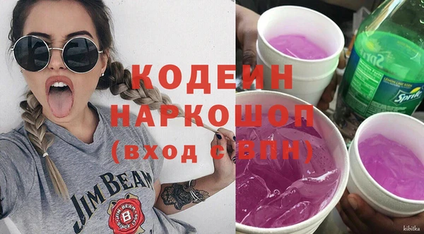 индика Карпинск