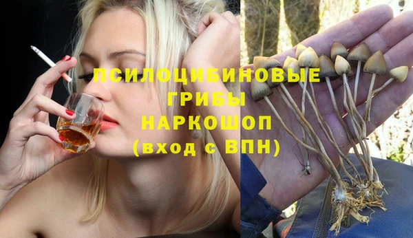 mdpv Касимов