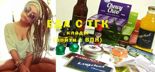 индика Карпинск