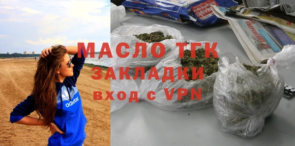 индика Карпинск