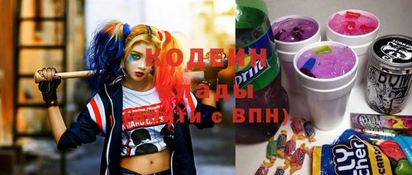 индика Карпинск