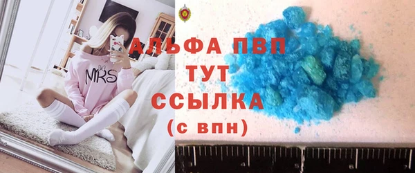 индика Карпинск
