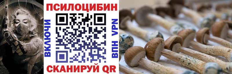 Псилоцибиновые грибы Psilocybe Светлоград