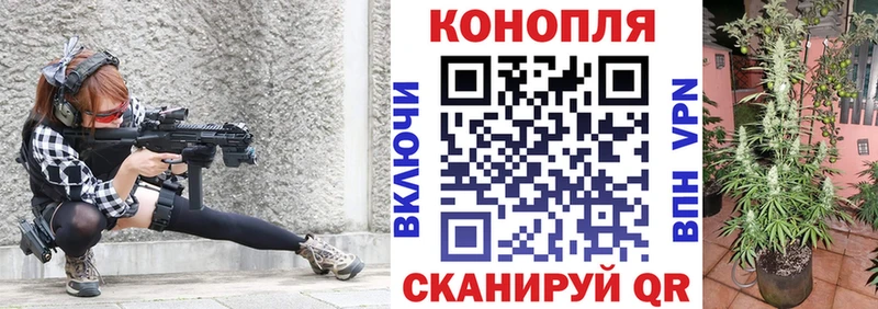 Купить  Светлоград  Канабис конопля 
